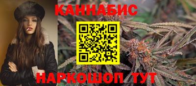сатива Кунгур