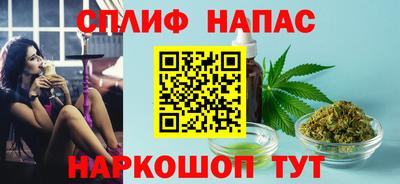 сатива Кунгур
