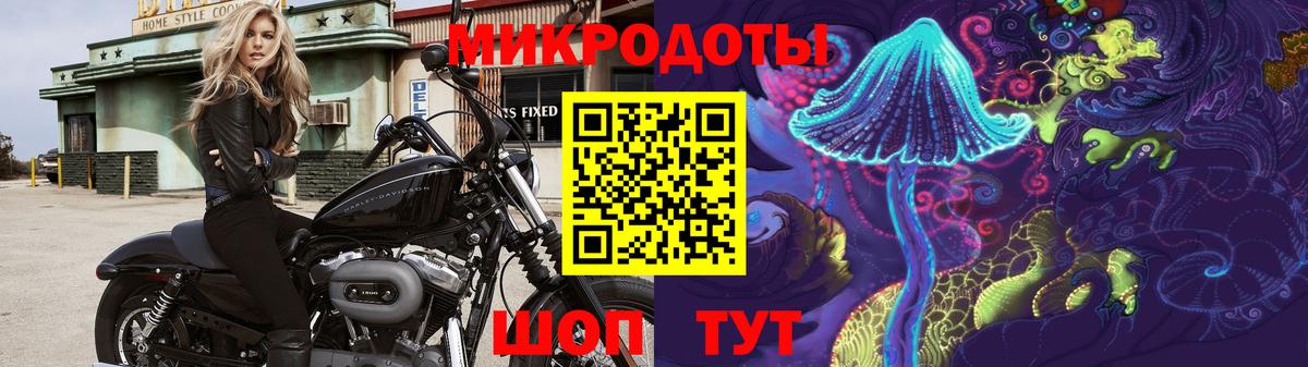 Псилоцибиновые грибы Psilocybe  Галлюциногенные грибы MAGIC MUSHROOMS  Гагарин  Вход с VPN 